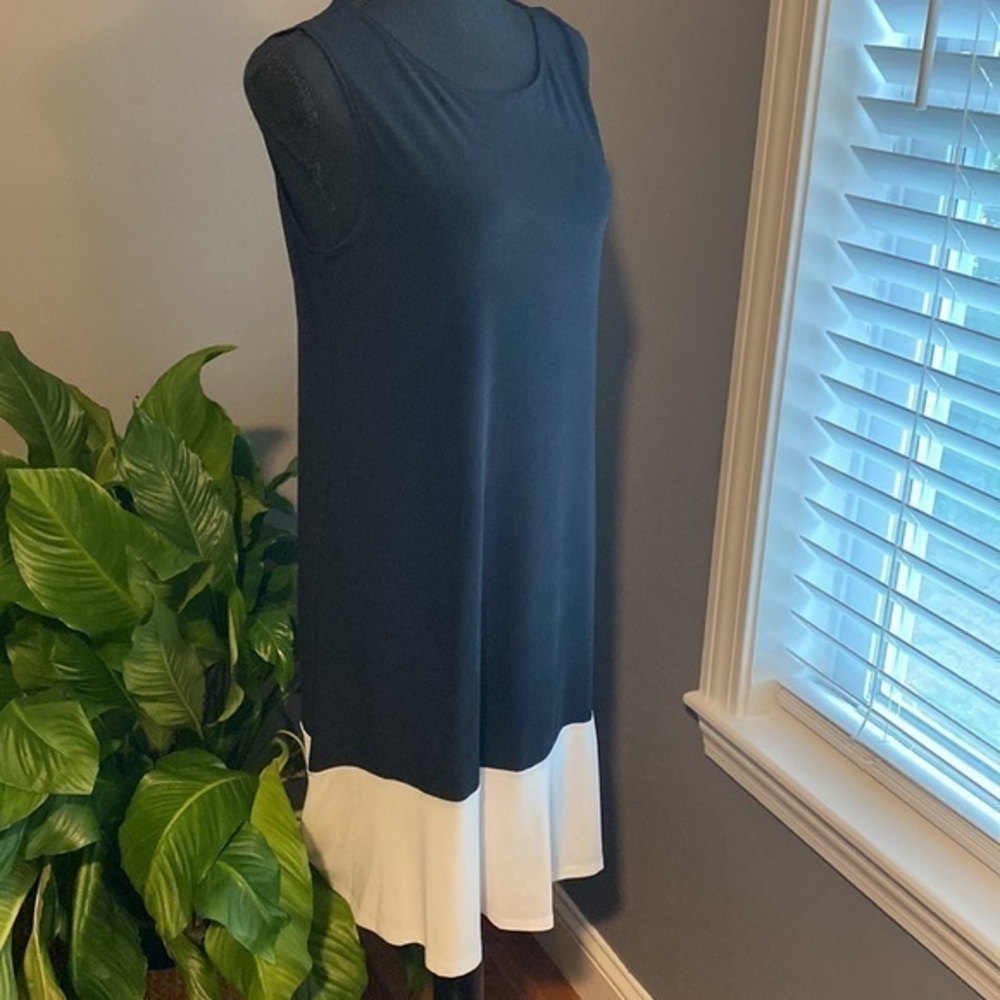 🤍🖤”ANNALEE + HOPE” Color Block Dress - Picture 2 of 5